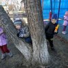 Прогулка в старшей группе